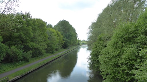 La Scarpe dans le Parc naturel régional Scarpe-Escaut autour de Marchiennes.- Nord (département français)