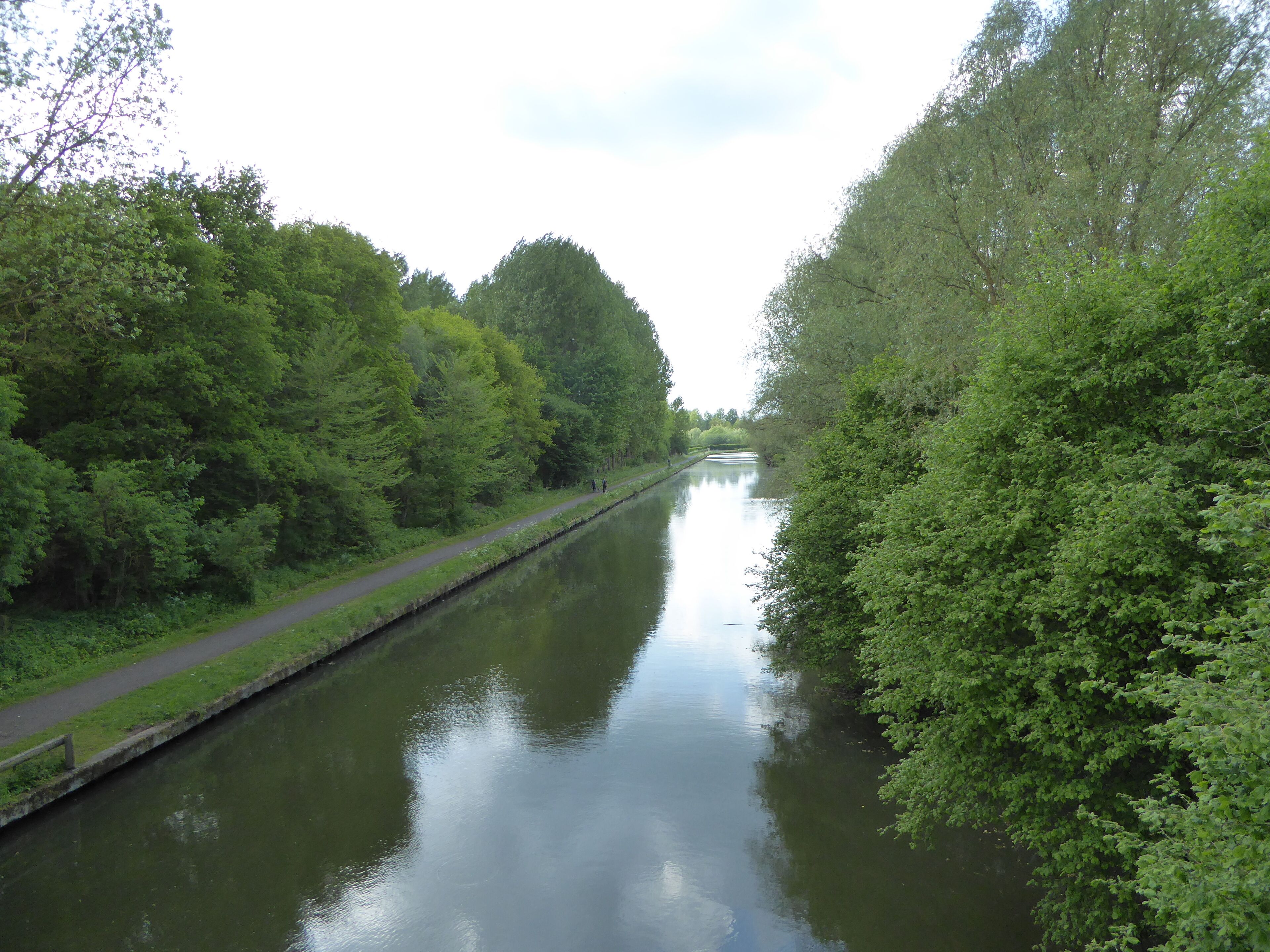 A calm river flanked by dense green foliage and a narrow path.