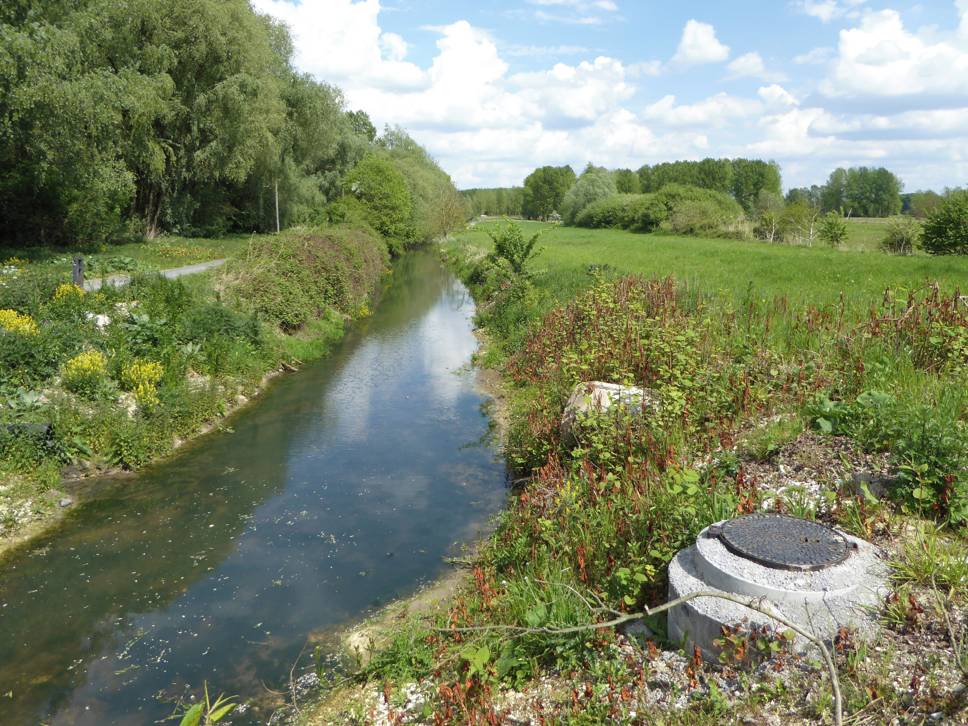 Le Décours dans le Parc naturel régional Scarpe-Escaut, Marchiennes.- Nord (département français)