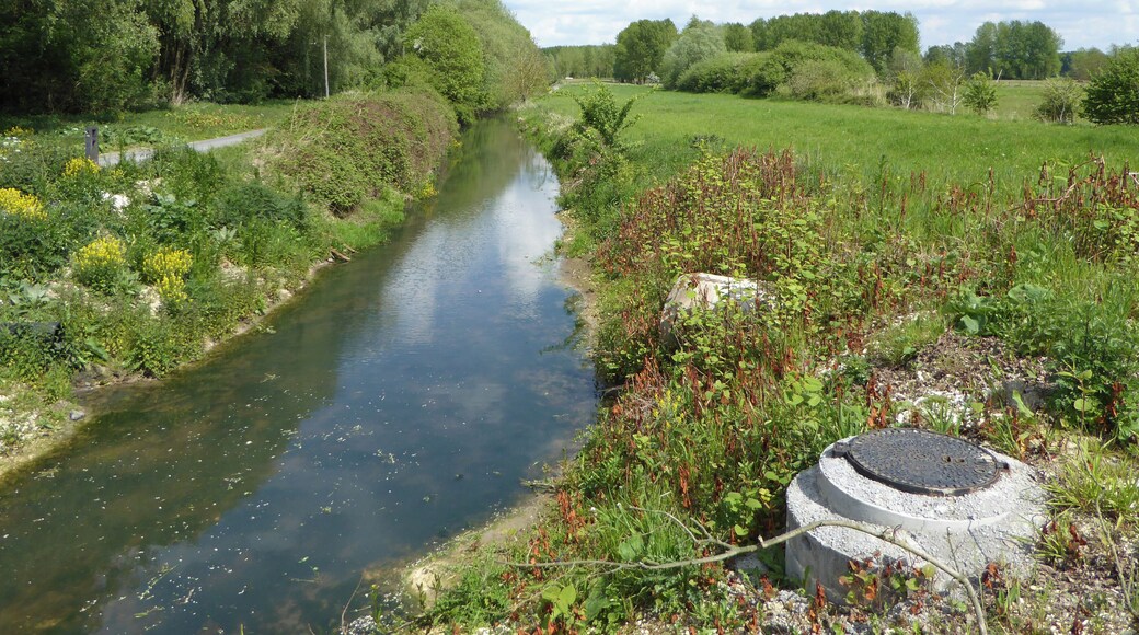 Le Décours dans le Parc naturel régional Scarpe-Escaut, Marchiennes.- Nord (département français)