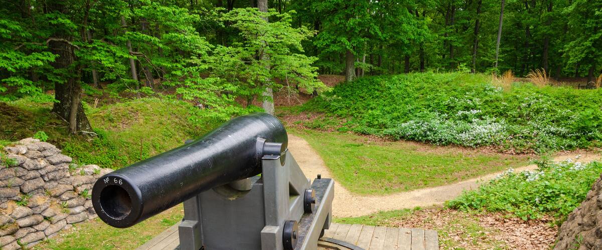 A cannon on a wooden platform in a forested area.