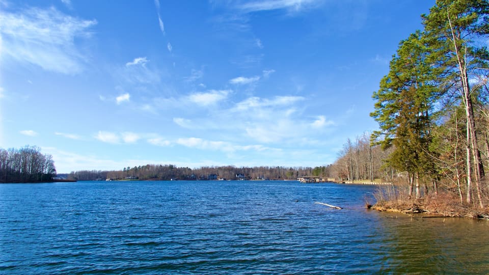 A calm lake with clear blue water, surrounded by trees and a distant shoreline with buildings.