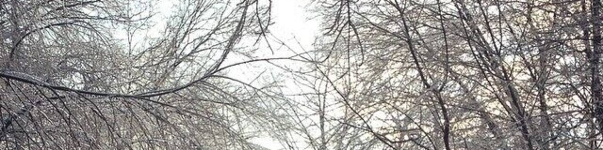 You don't always have to go far from home to find something beautiful…Love living in the Shenandoah Valley!
#goldenhour