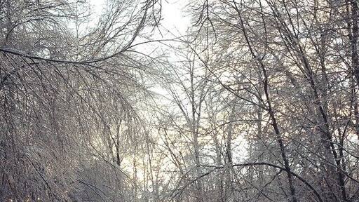 You don't always have to go far from home to find something beautiful…Love living in the Shenandoah Valley!
#goldenhour