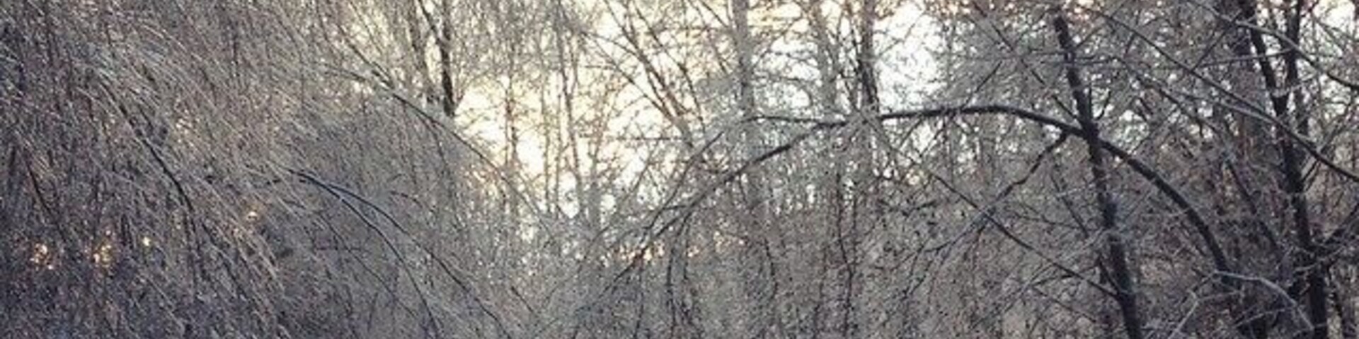 You don't always have to go far from home to find something beautiful…Love living in the Shenandoah Valley!
#goldenhour