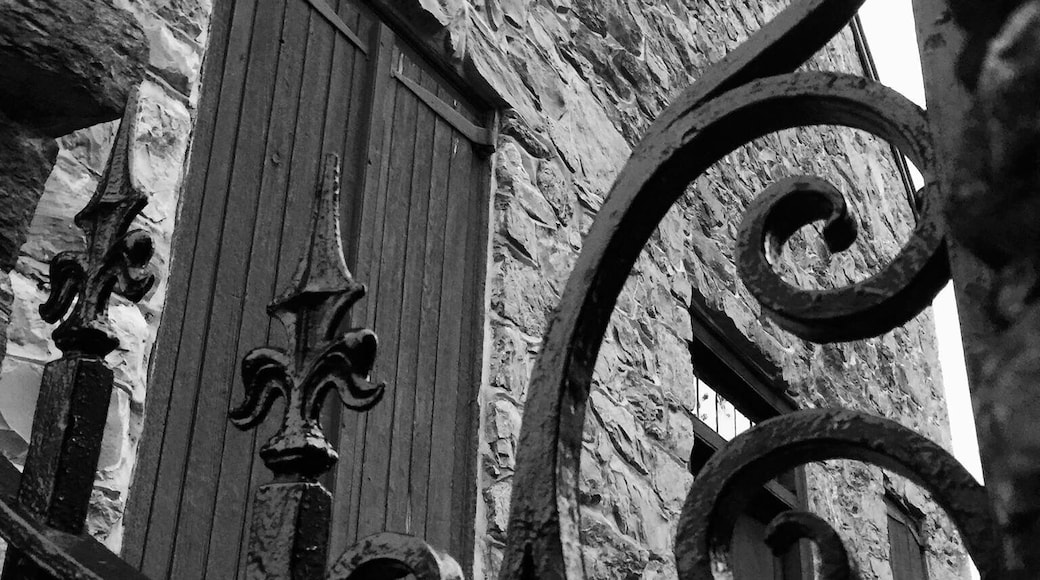 Exploring the back roads again and found this quaint old cemetery. So much history just waiting to be found again.