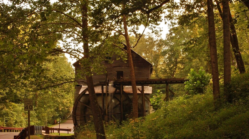 Historic Bush Mill in Nickelsville, Virginia is definitely a must see when coming to Scott County, Virginia!
Visit http://www.explorescottcountyva.org to find out the latest happenings in the county as well as when Bush Mills Days will be held! They fire up the ole mill one weekend out of the year & it is truly a sight to see!
#roadtrip #weekendgetaway #scottcountyvirginia