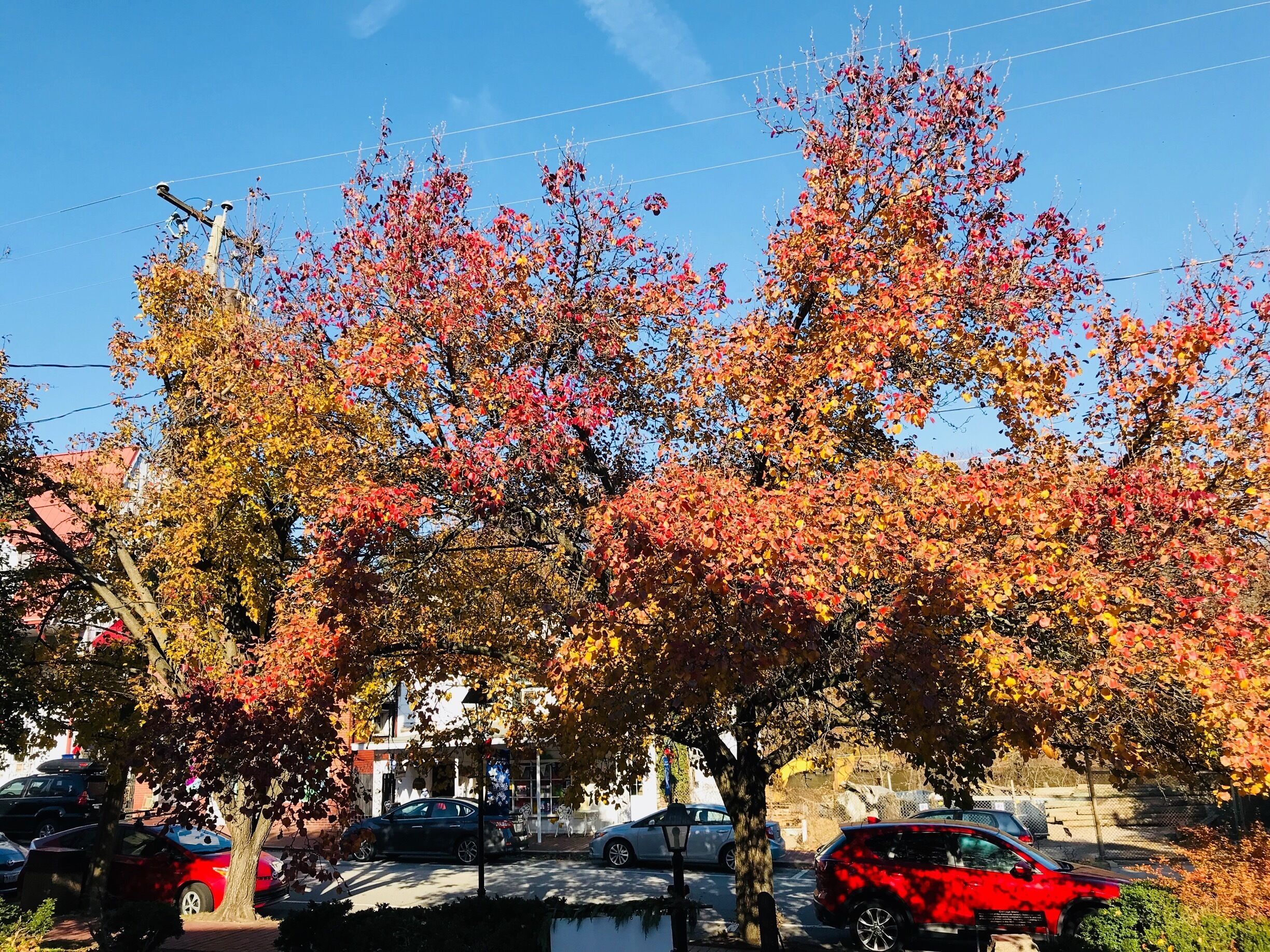 Winter time at historic area