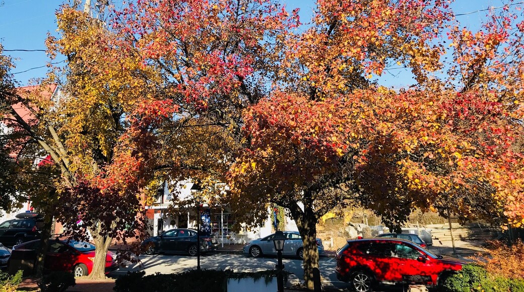 Winter time at historic area