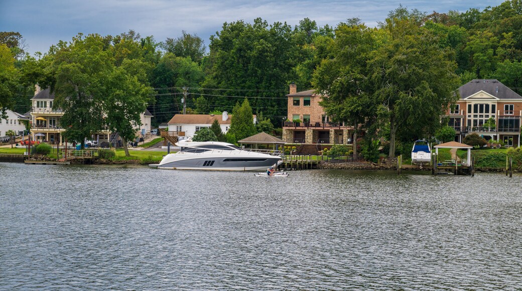 ์ค์ฝ์ฝด