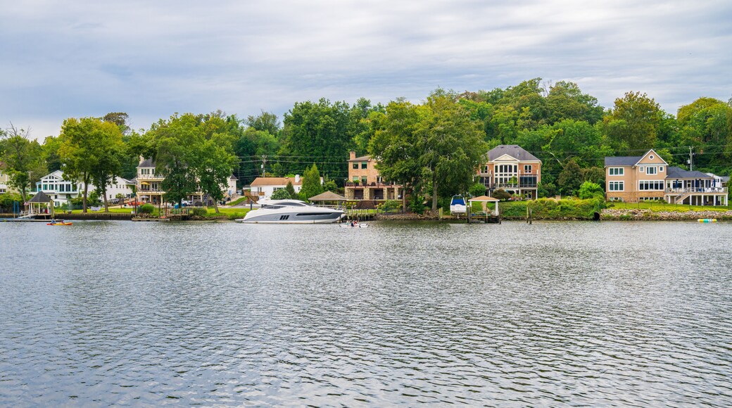 ์ค์ฝ์ฝด