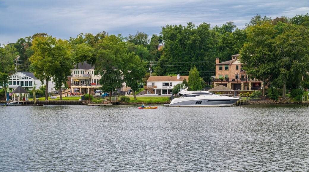 ์ค์ฝ์ฝด