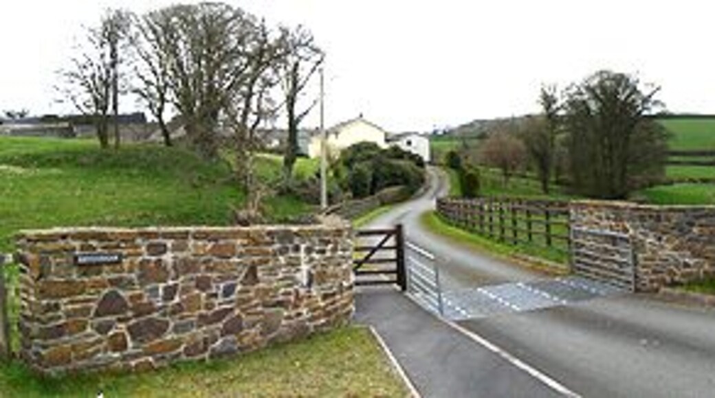 Farm Entrance The entrance to Rhydyrhaw farm with the A485 on the right.