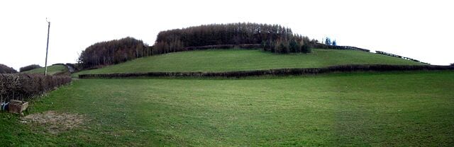 Wood. You can just see the road to the left of the trees.