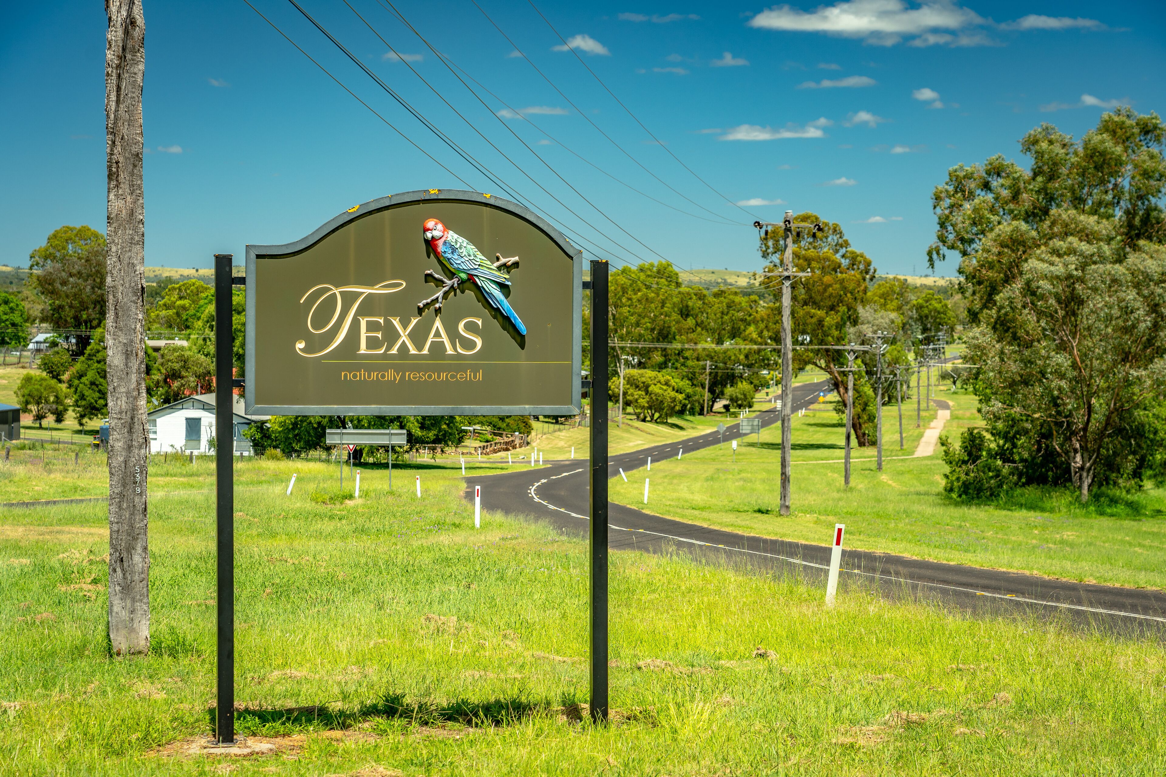 A road sign with a parrot and the word "Texas" on it.