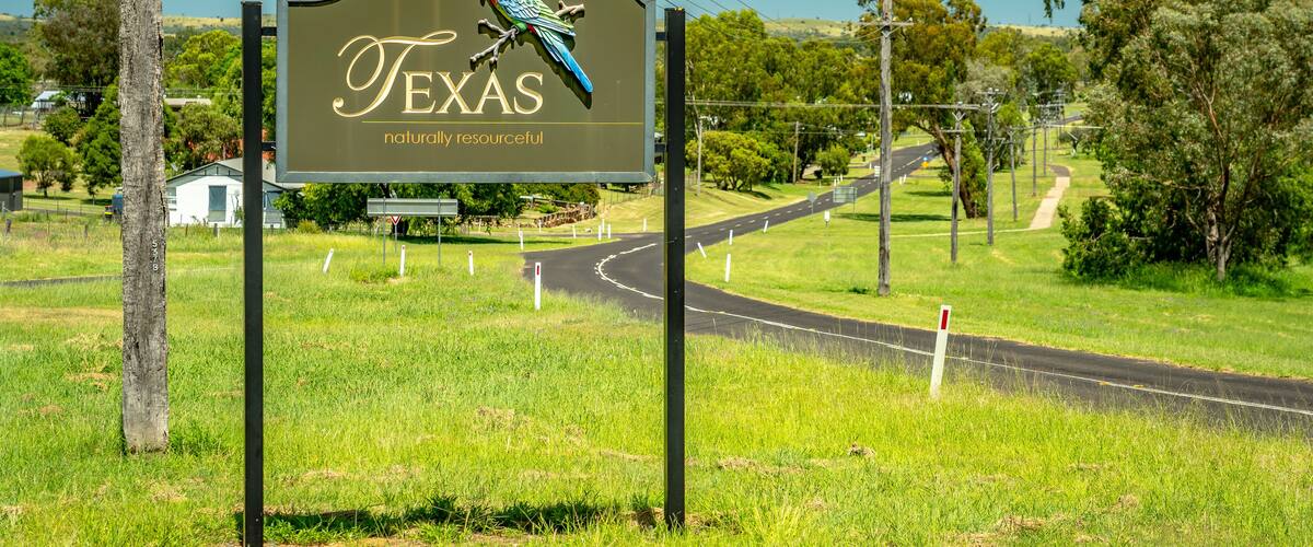 A road sign with a parrot and the word "Texas" on it.