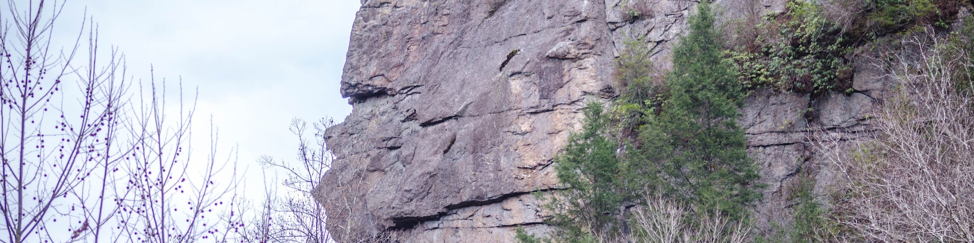 Stone Face Rock Zoom Lee County Vriginia Pennington Gap St Charles