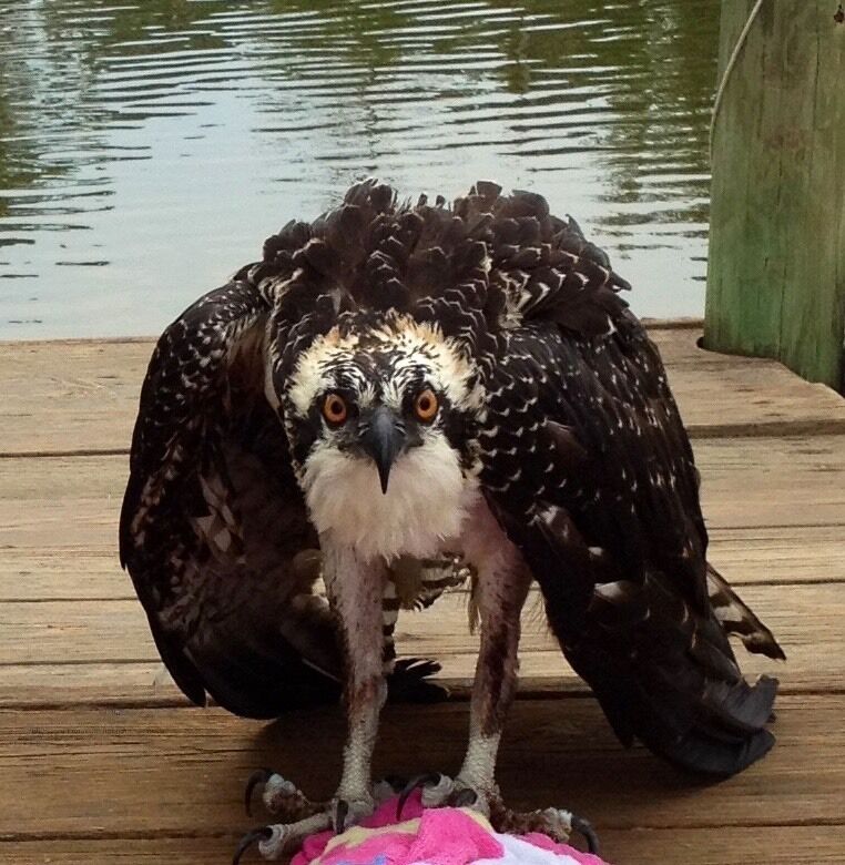 Spring time has arrived