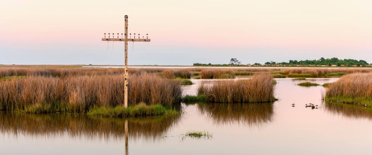 A calm water body with tall grasses and a wooden structure in the middle.