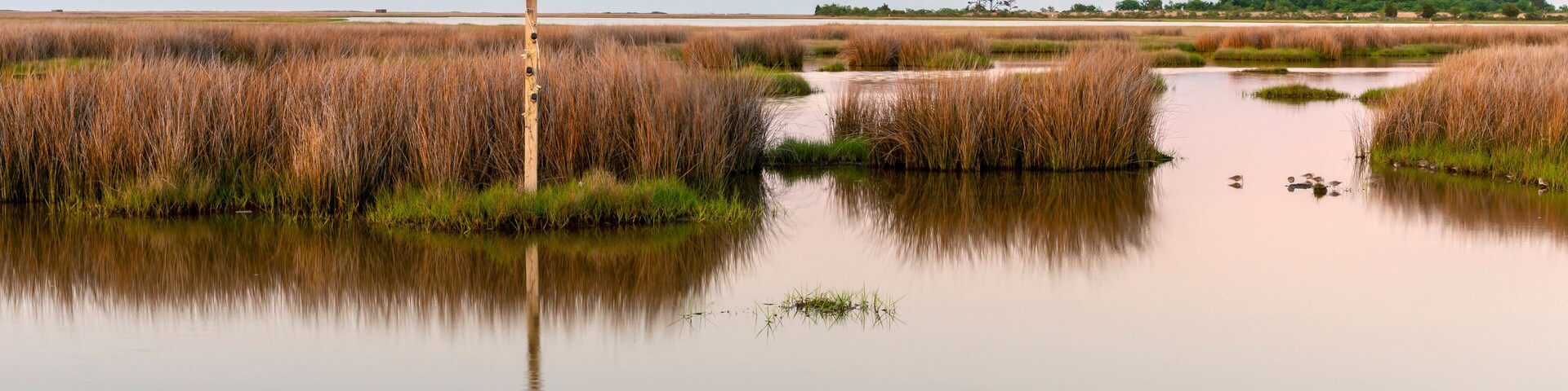 Cross standing in marsh of Chesapeake Bay, Poquoson, Virginia, USA