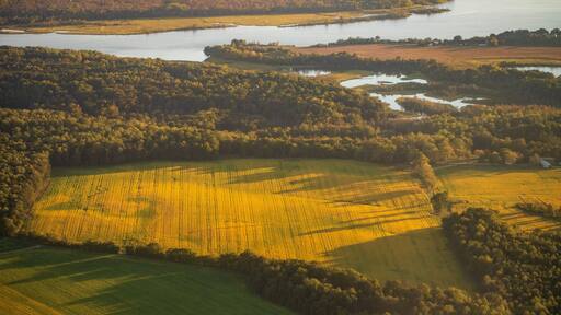 بروفيدانس فورج