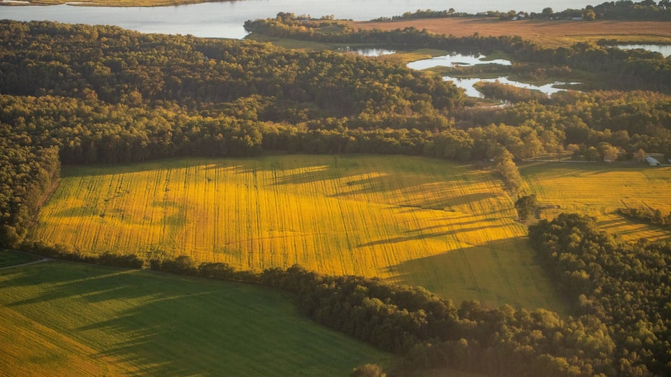 A river winding through a forested area with fields of crops.
