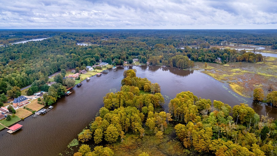 Aerial Drone Shot of Autumn Trees In Virginia
