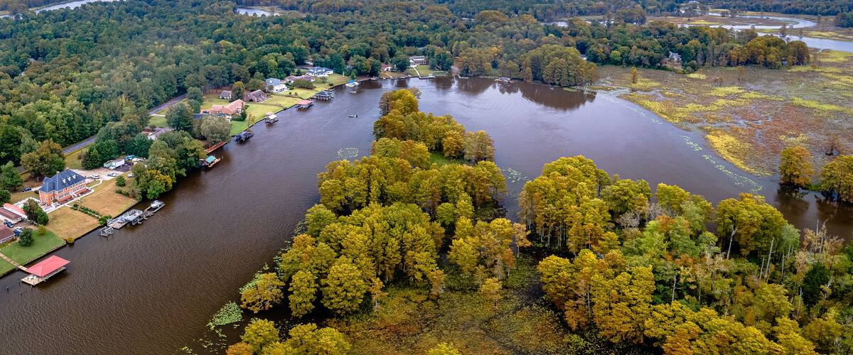 An aerial view of a river surrounded by dense forests and residential areas.