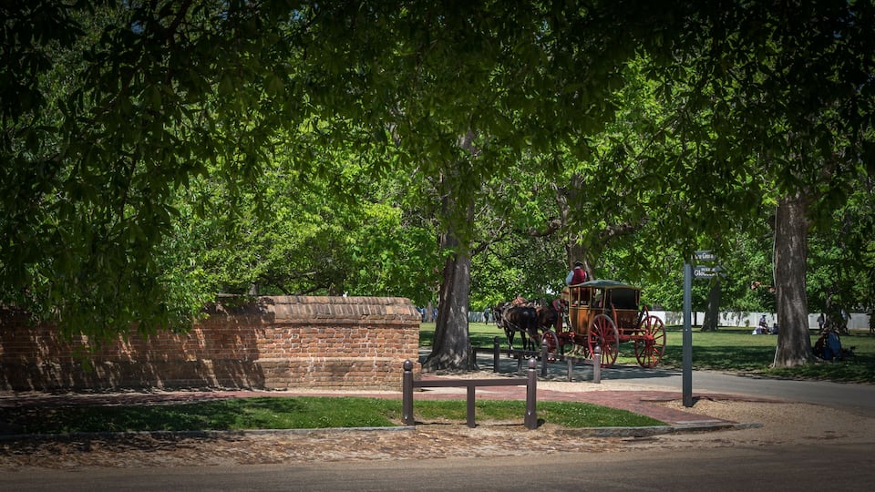 Horse drawn carriage traveling down Williamsburg Road