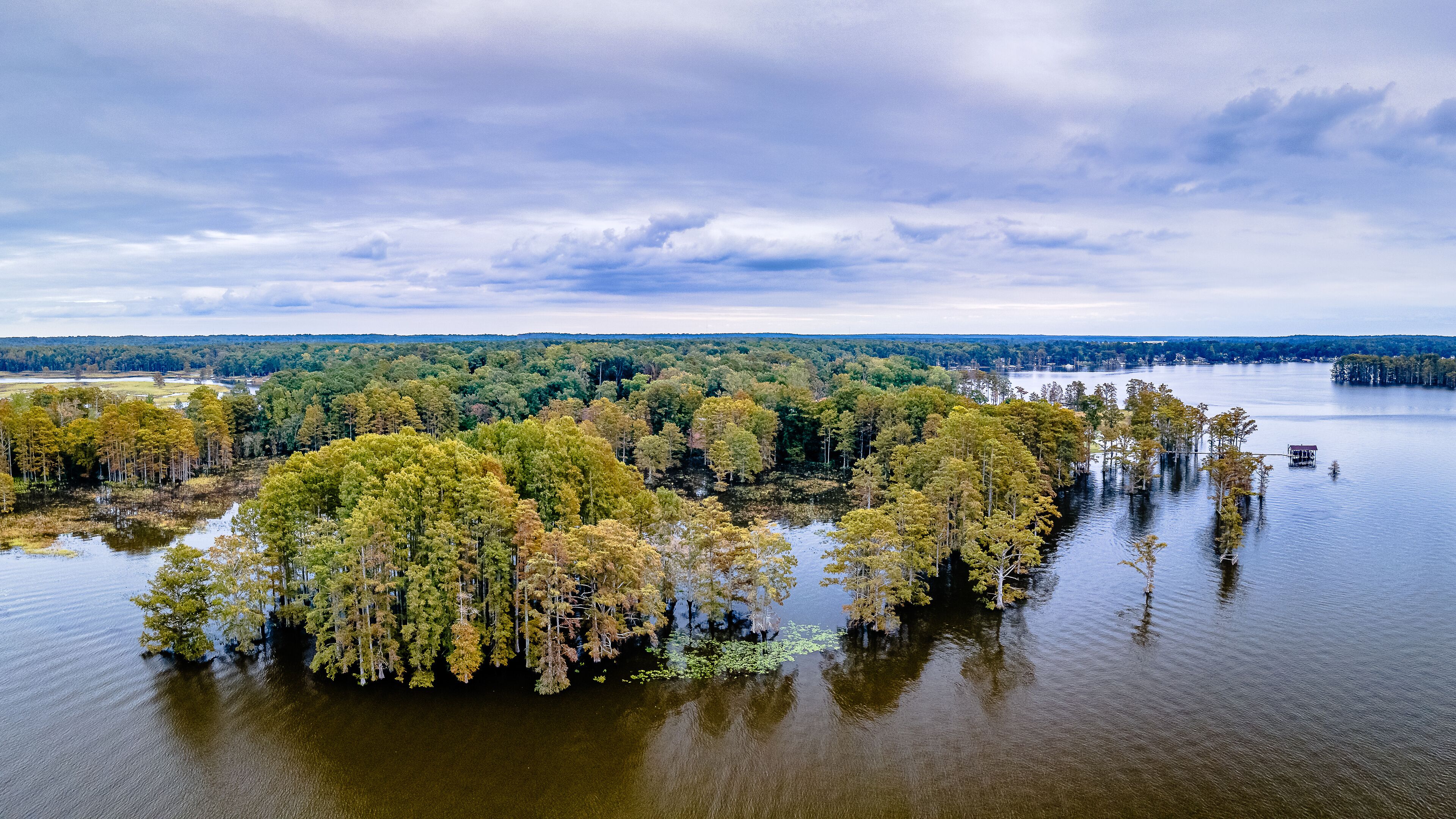 Aerial Drone Shot of Autumn Trees In Virginia 
