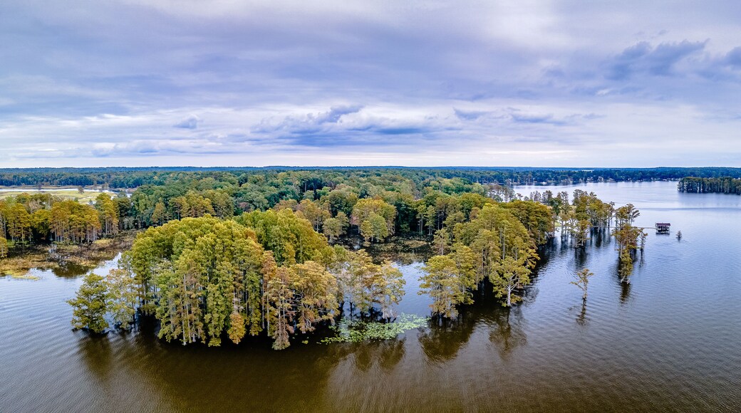 Aerial Drone Shot of Autumn Trees In Virginia