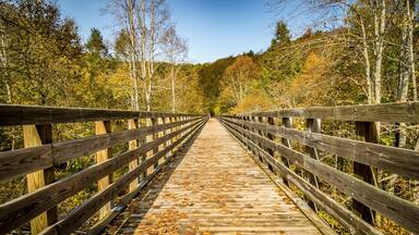 Scenic views along virginia creeper trail