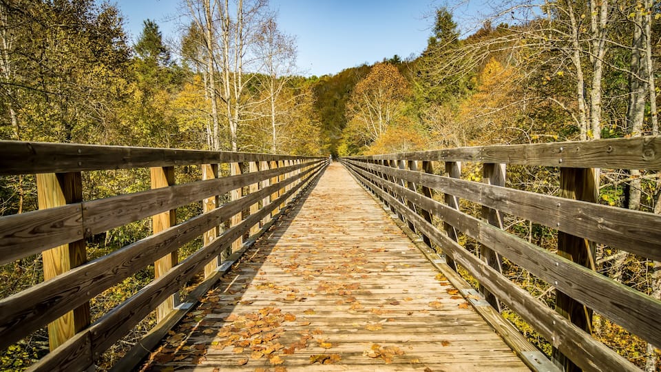 A wooden bridge surrounded by autumn foliage.