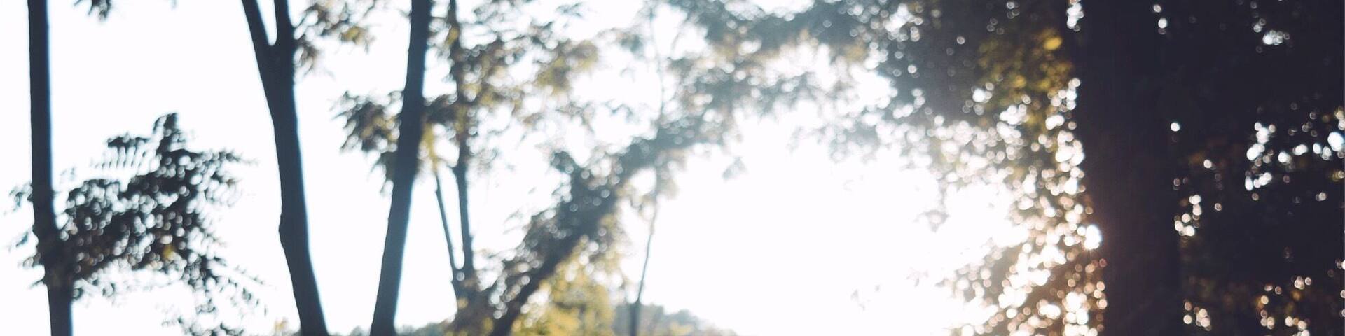 #takeahike lots of trail to take advantage of in the central Virginia area