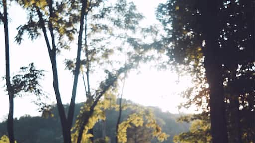 #takeahike lots of trail to take advantage of in the central Virginia area