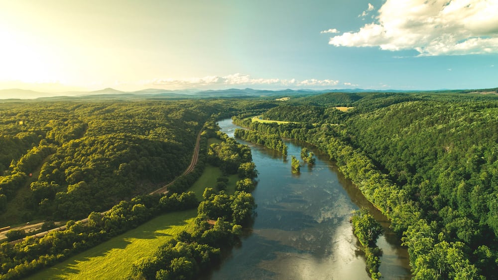 Ein Fluss schlängelt sich durch einen dichten Wald, überragt von einem klaren Himmel und entfernten Bergen.
