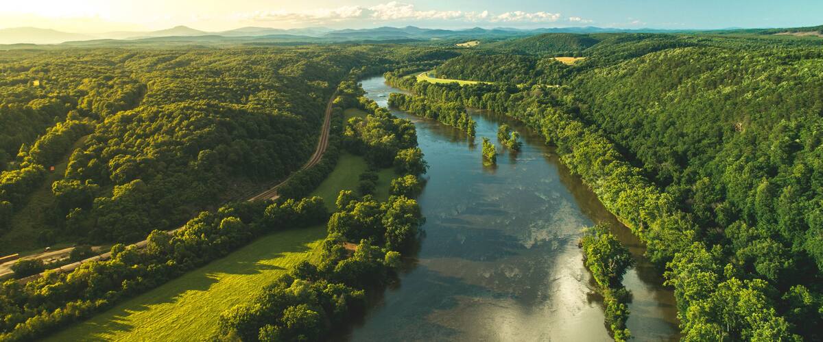 A river winding through a dense forest with a clear sky and distant mountains.