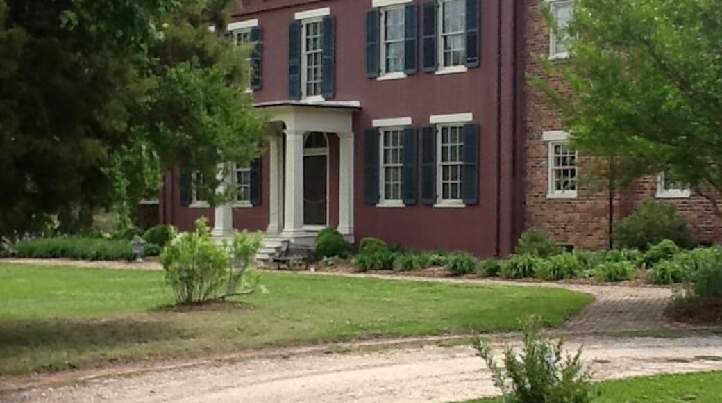 Great Southern Plantation.