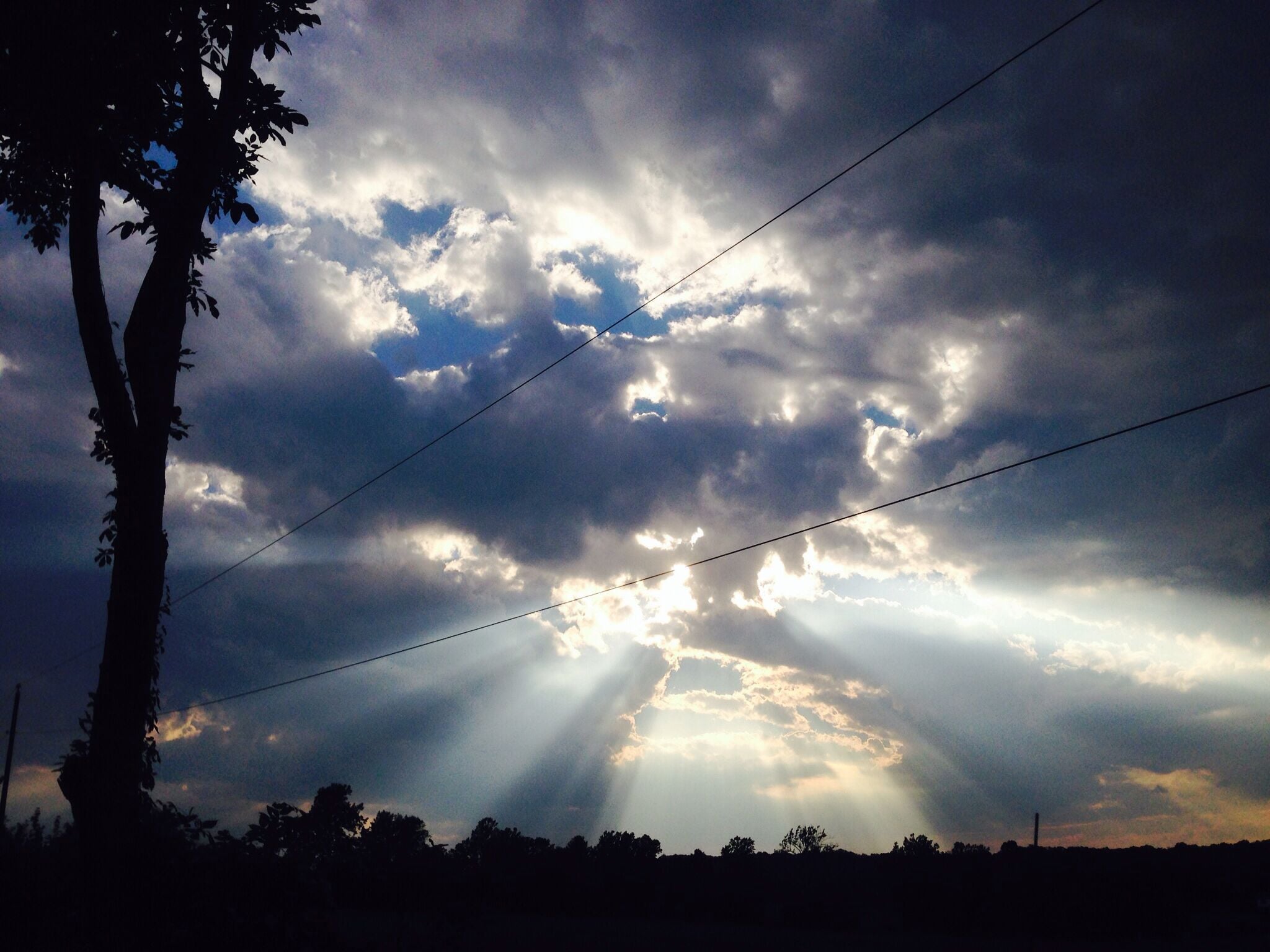 Gorgeous horse and wine country, out here.
