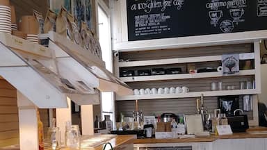 Great coffee shop in the Plains.
Also has a bike shop inside.
Everything here is also gluten free, including soups, sandwiches, etc.