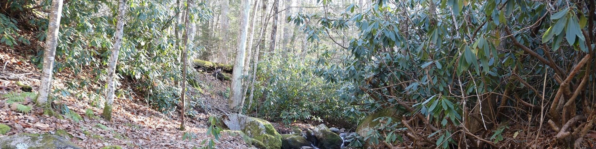 This stream flows through the Grindstone Campground. This photo was taken at the playground area of the campground.