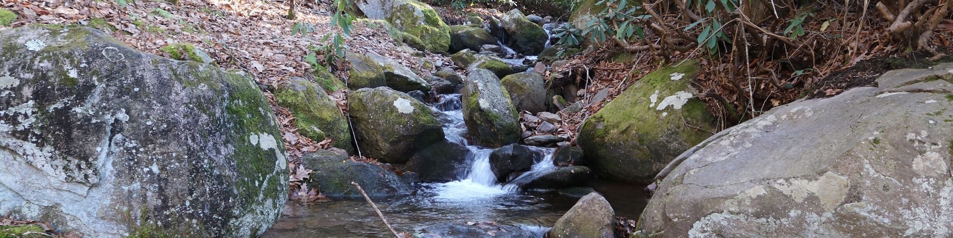 This stream flows through the Grindstone Campground. This photo was taken at the playground area of the campground.