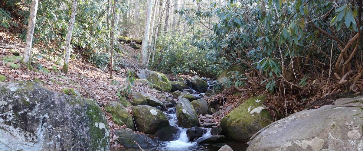 A forest stream with large rocks and fallen leaves.