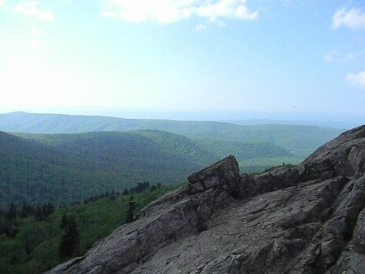 Beautiful views while horse backing.