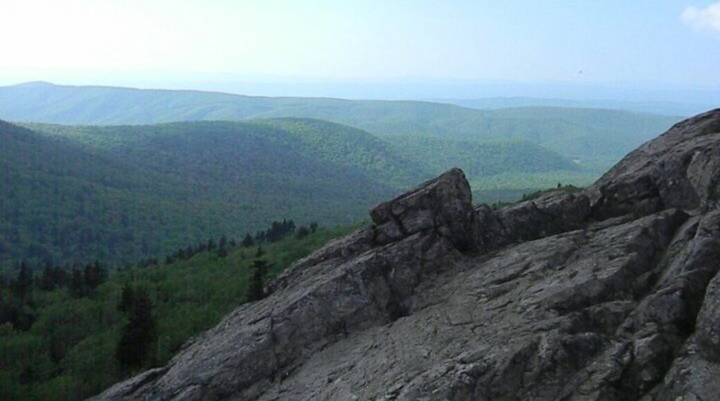 Beautiful views while horse backing.