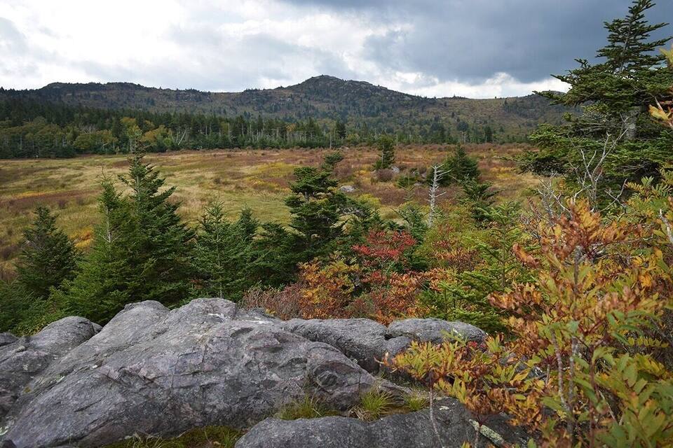 A mountainous landscape with a mix of evergreen and deciduous trees, rocky terrain, and a cloudy sky.