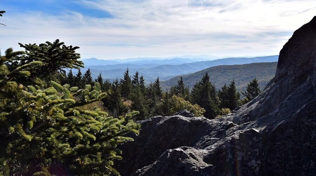 One of my favorite spots. Usually have it to ourselves.
#TakeAHike