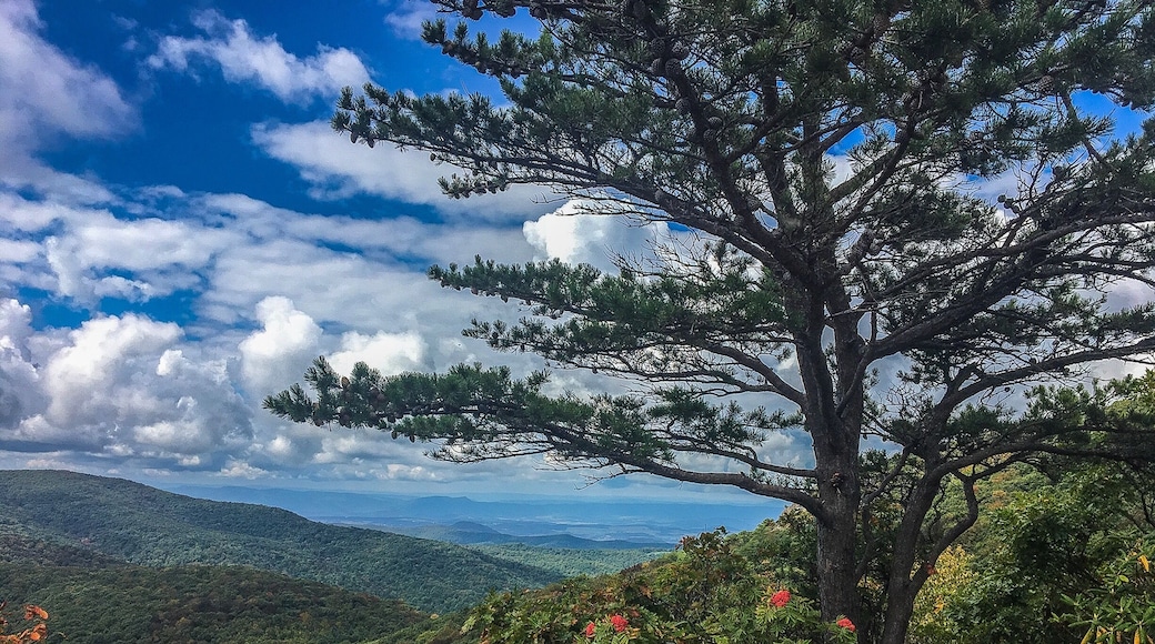 360 degree view in the Blue Ride Mountains near Montebello