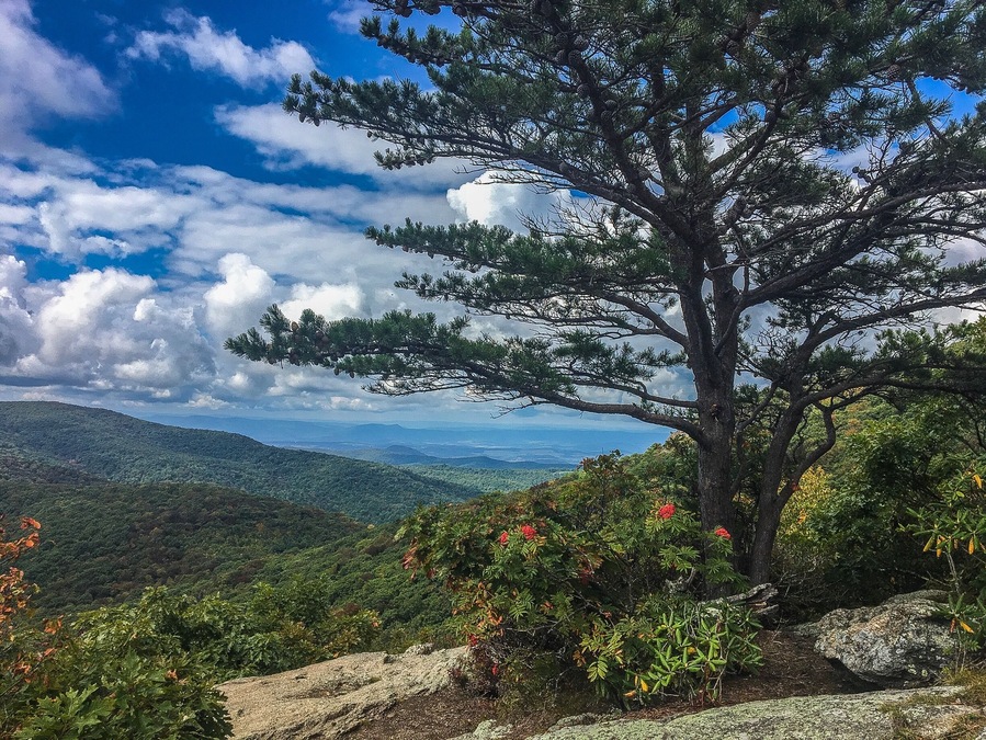 360 degree view in the Blue Ride Mountains near Montebello