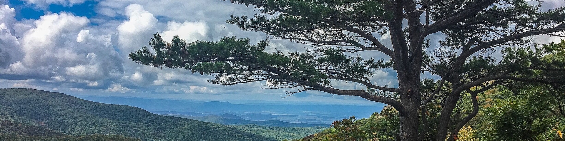 360 degree view in the Blue Ride Mountains near Montebello